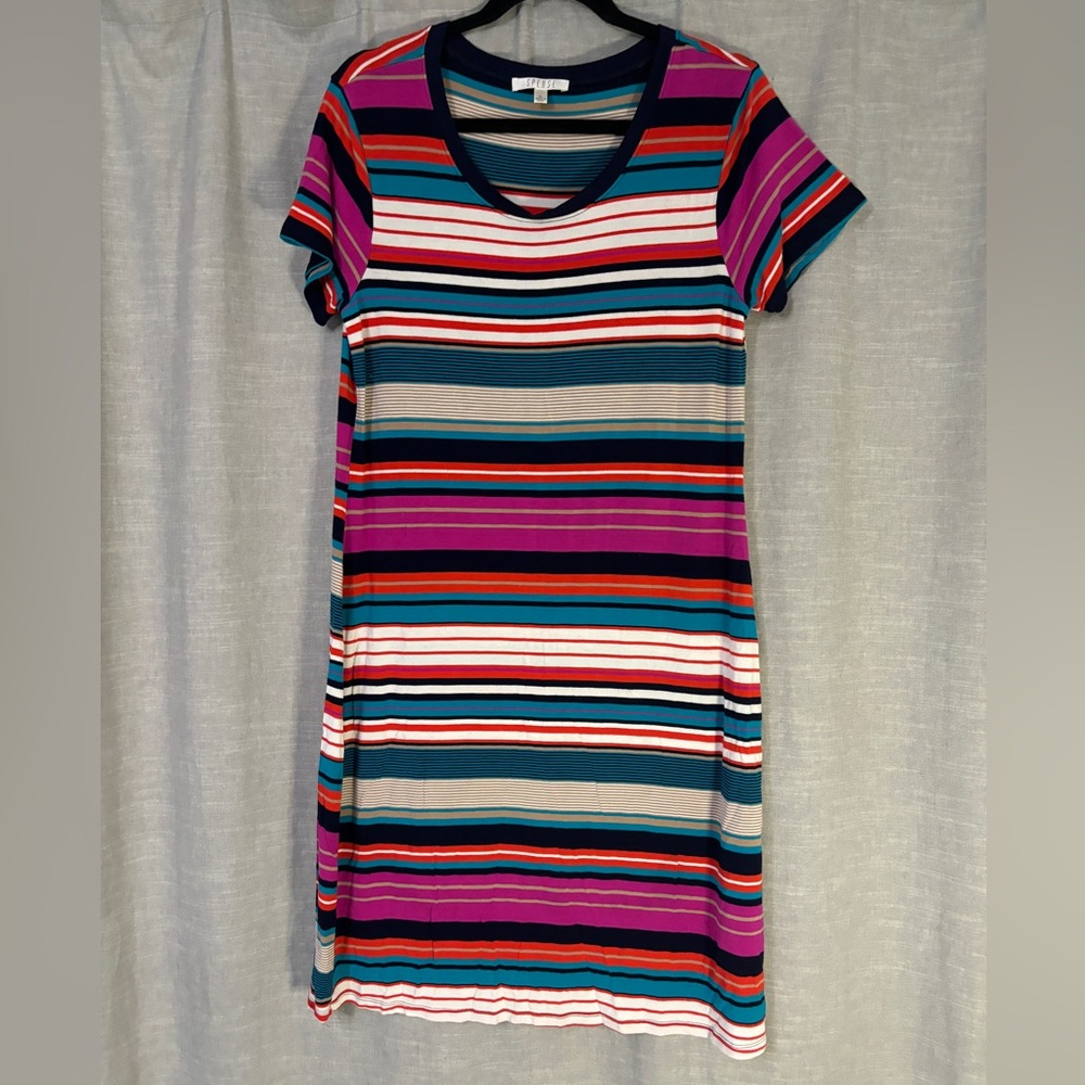 Spense Multi-Colored Striped Dress